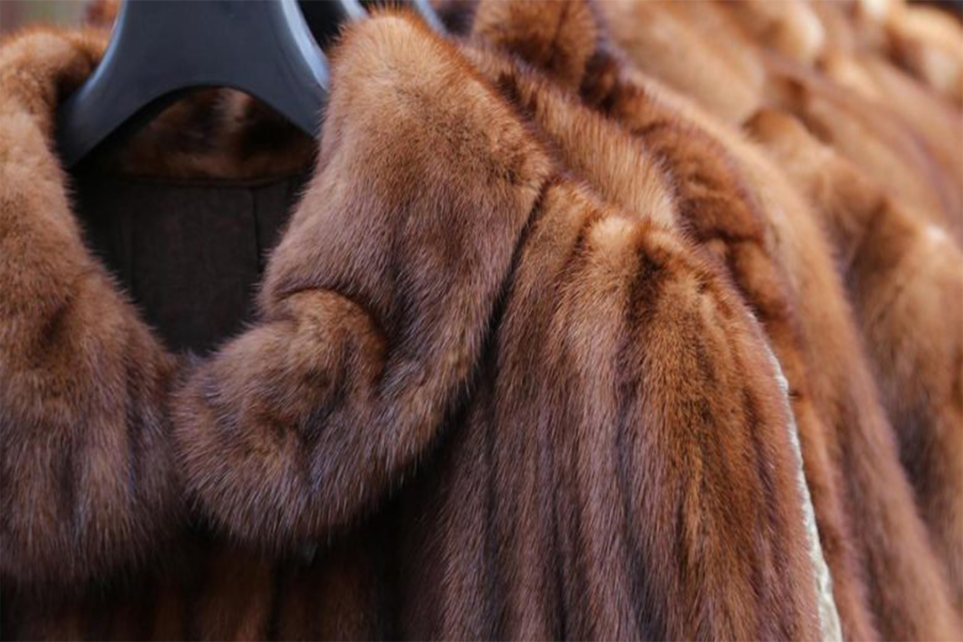 polonia-i-jep-fund-prodhimit-te-veshjeve-prej-gezofi