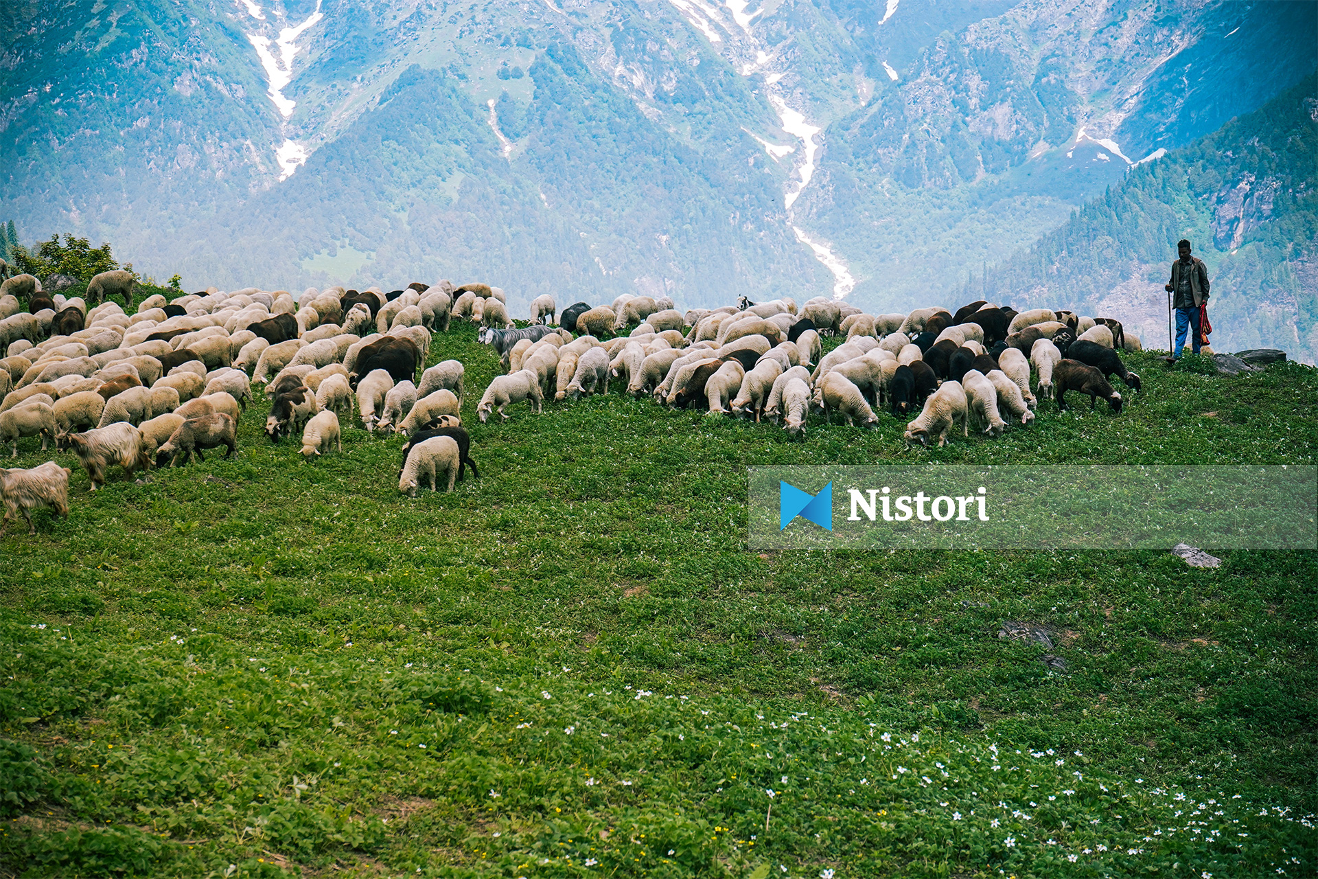 Subvencionet në RMV me vonesë  kopetë nxirren në shitje