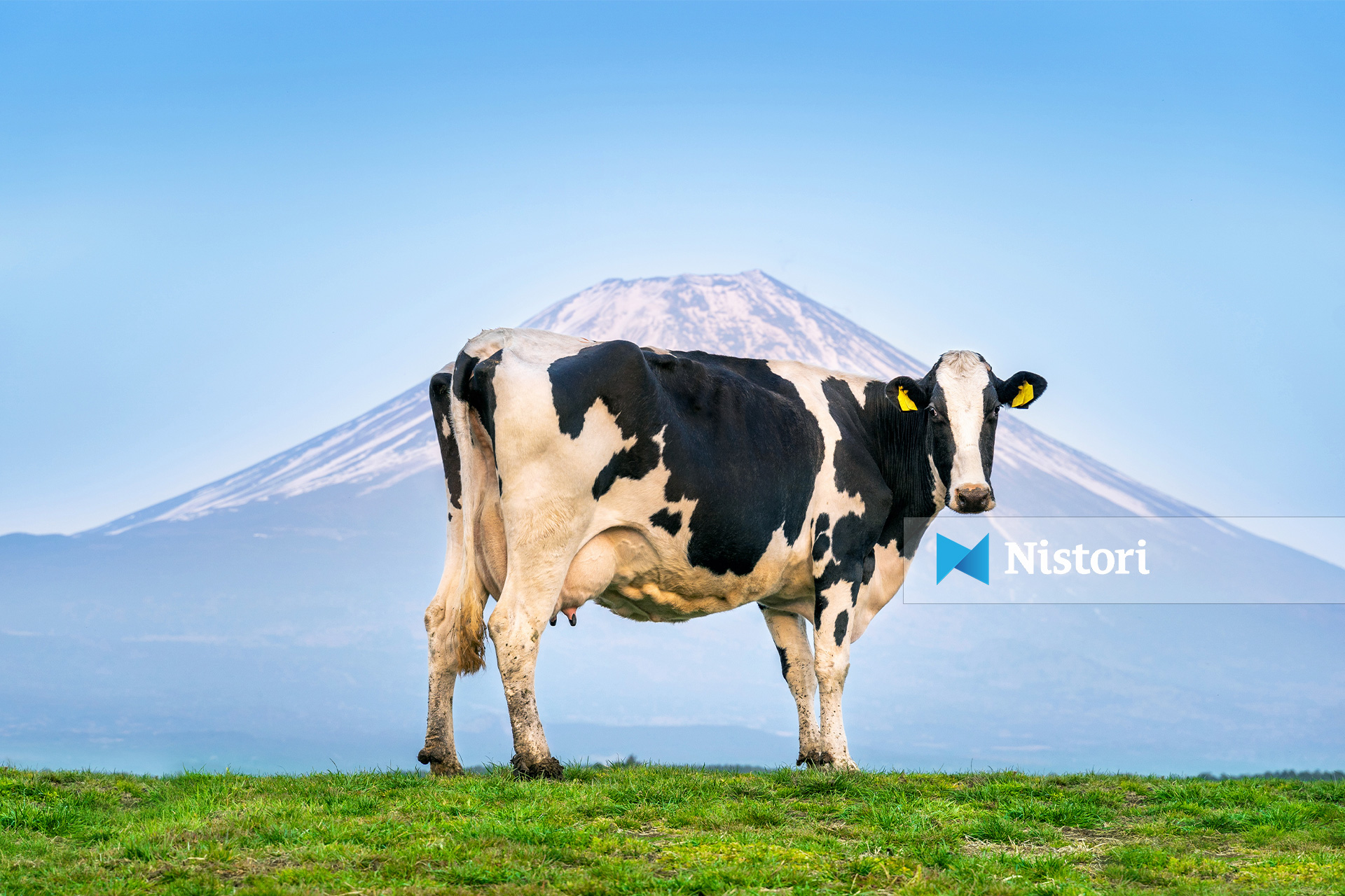 Kur do të mësojmë se njerëzit nuk janë aq të veçantë 