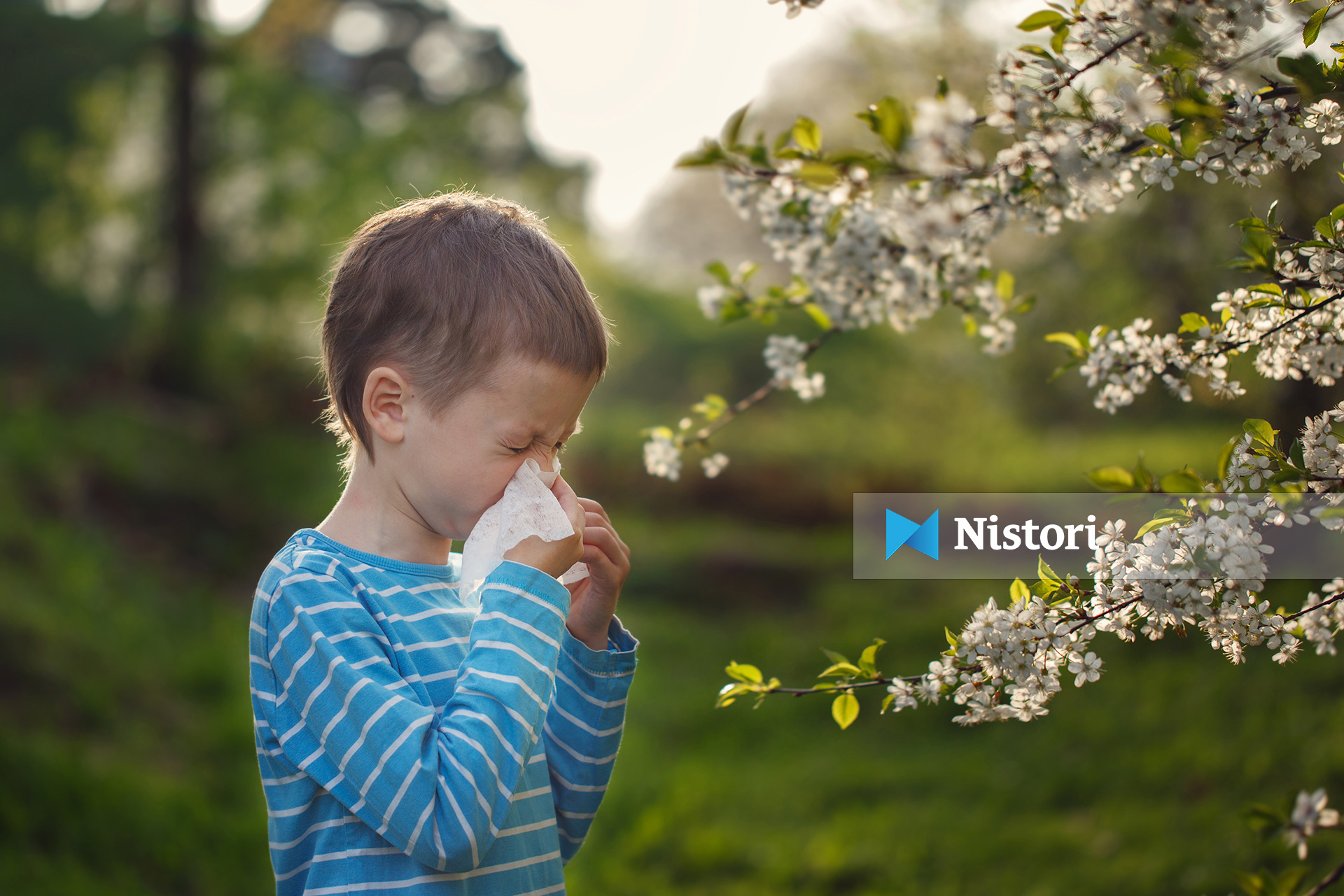 Si të mbroheni nga poleni dhe alergjitë sezonale
