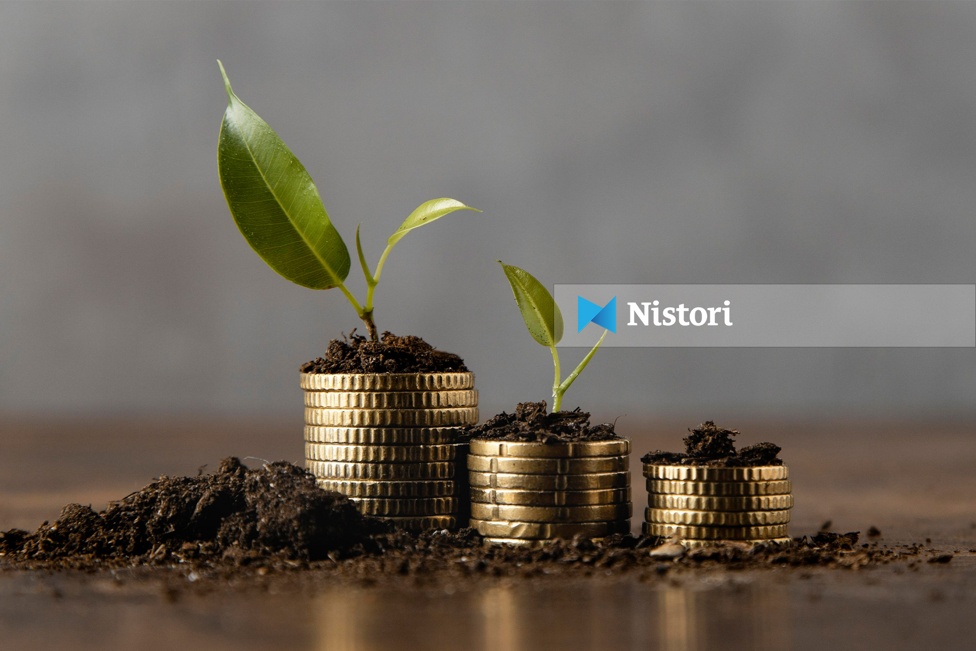 Rreth 100 mijë persona në RMV në ekonominë gri