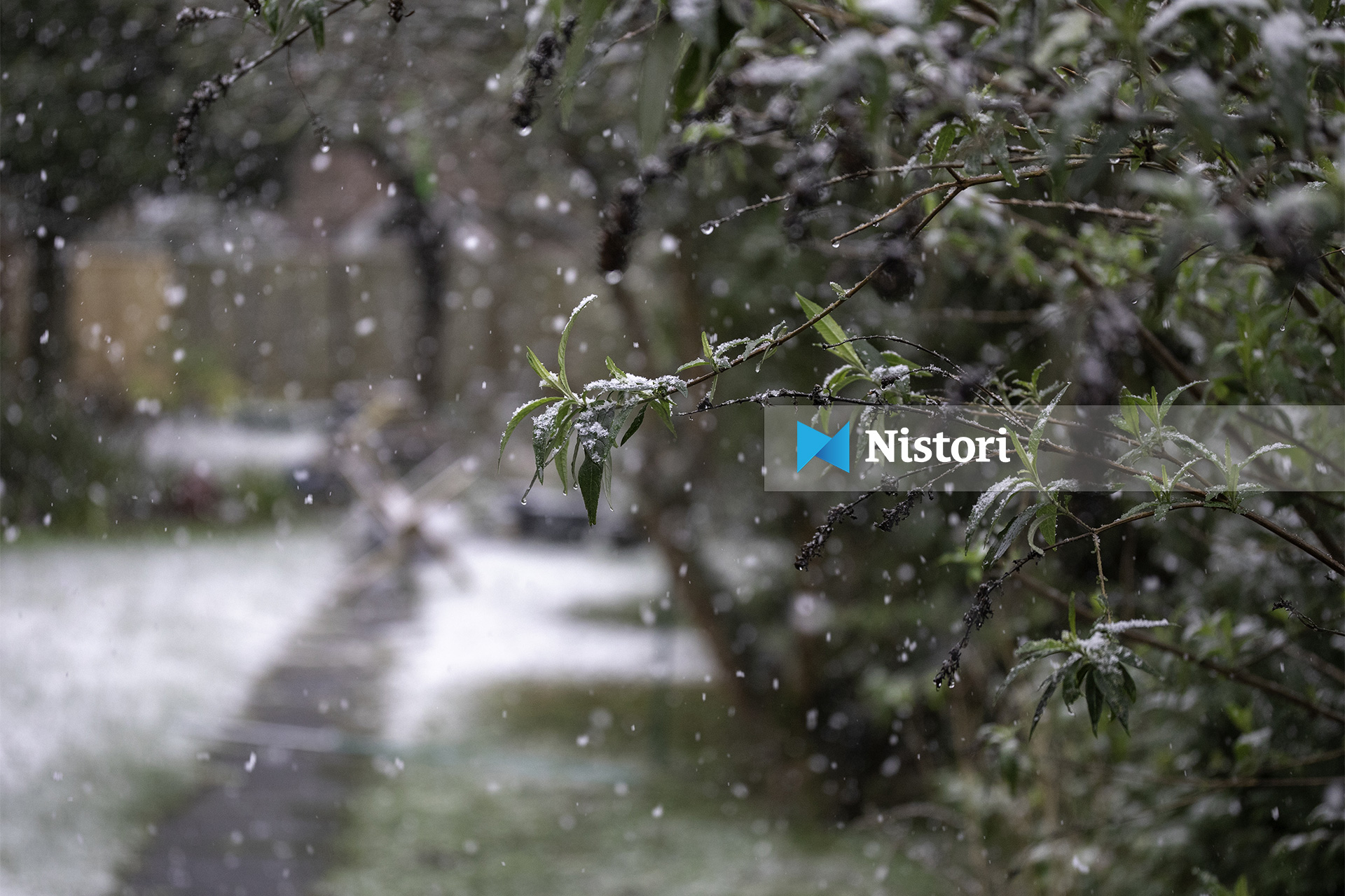 Rënie temperaturash dhe reshje bore në mbarë territorin
