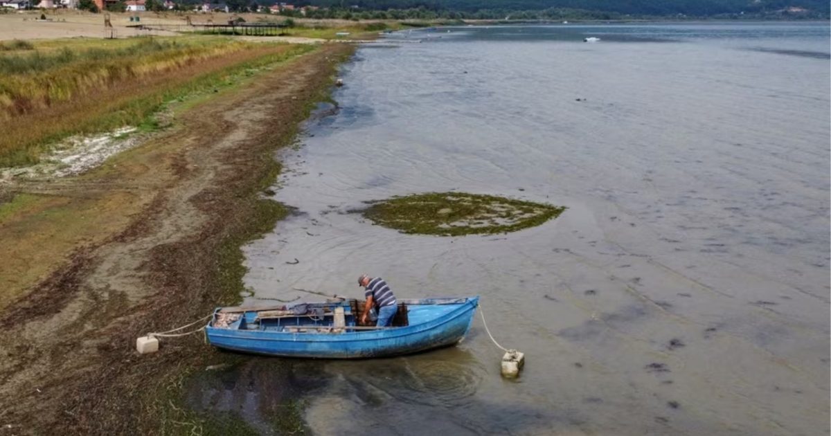 Shpëtimi i Liqenit të Prespës përmes aktivizmit ndërkufitar
