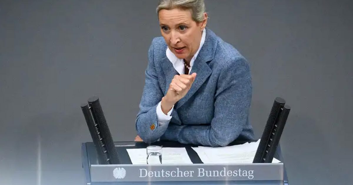 AfD ekstremiste e djathtë   çfarë pasojash ka ky klasifikim 