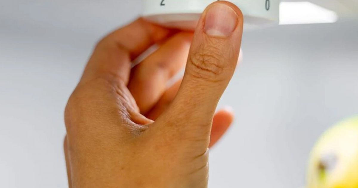 Çfarë nënkuptojnë numrat në rrotëz të frigoriferit dhe si të shmangni prishjen e ushqimit