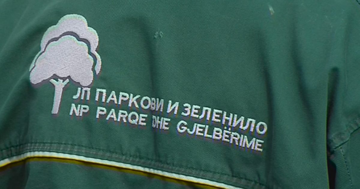Tre muaj pa rrogë dhe pa sigurim shëndetësor punëtorët e  Parqet dhe Gjelbërimi 