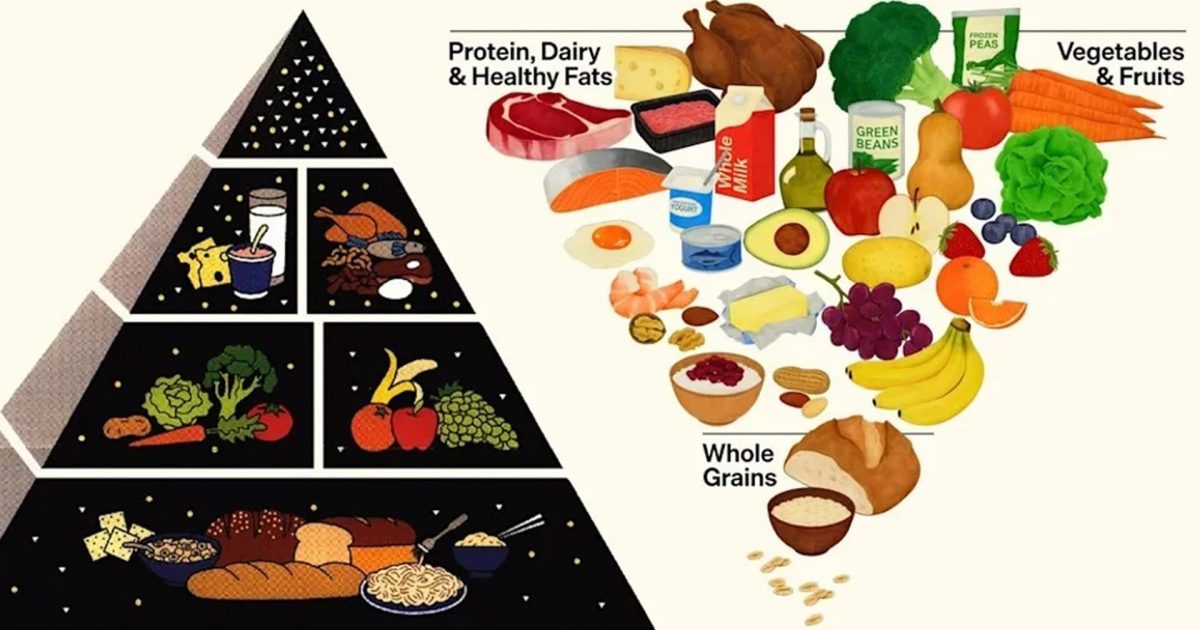 Historike  ShBA ja me piramidë të re ushqimore