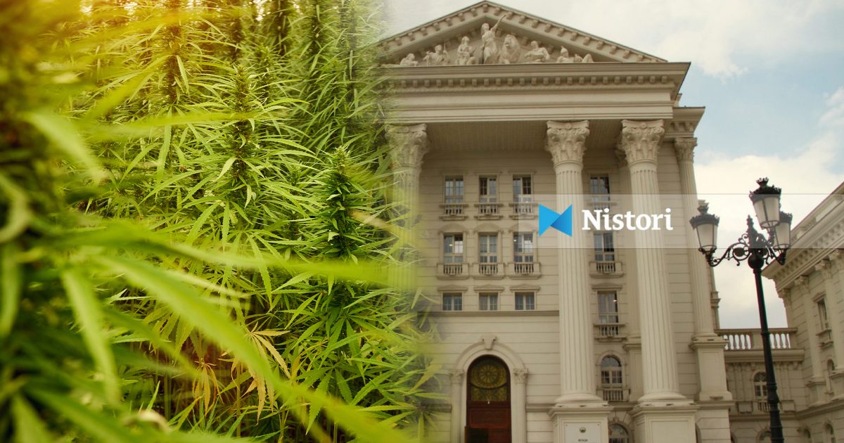 Sasia e madhe e drogës vinte nga kompania  Alfafarm Grup  me leje nga Qeveria Teknike