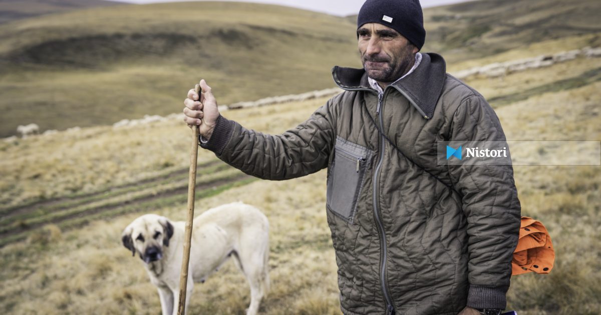 Barinj në RMV  Nuk gjenden as për pagë prej 2 000 eurosh