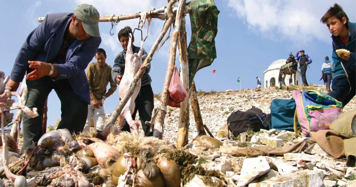 artisti-albes-fusha-sjell-ekspoziten-e-fotografise-bashkekohore-le-te-filloje-gjuetia