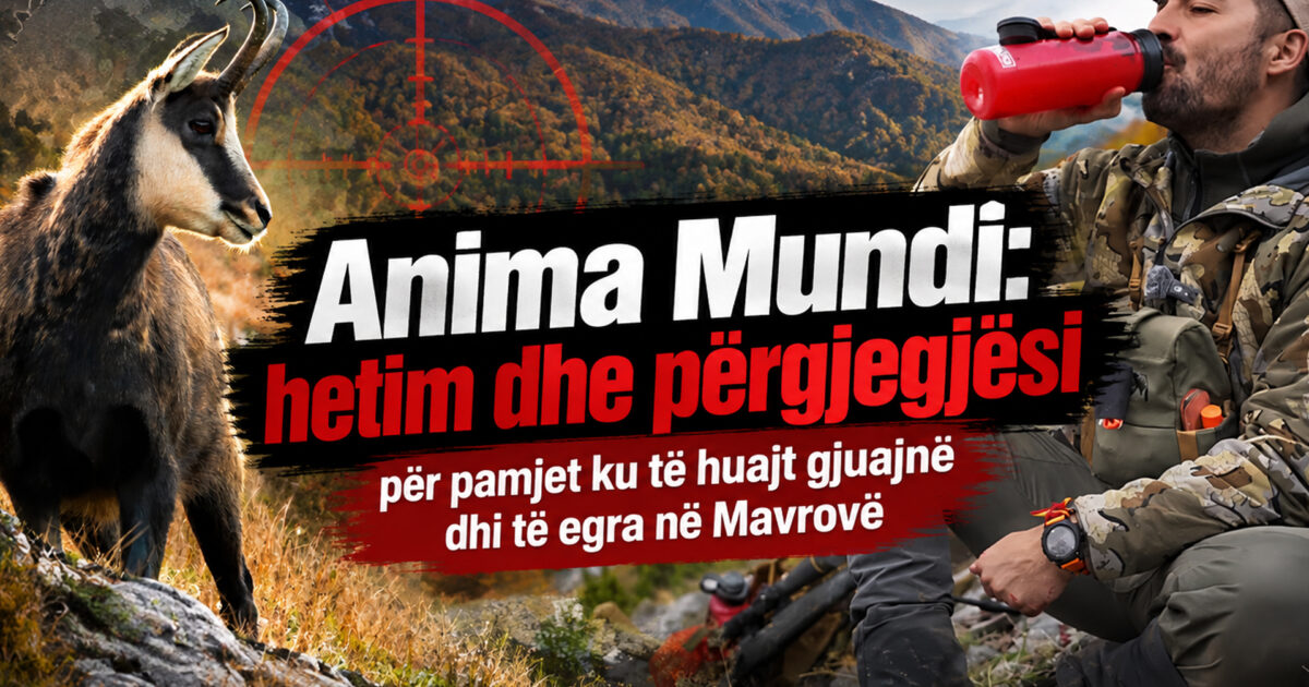 anima-mundi-hetim-dhe-pergjegjesi-per-pamjet-ku-te-huajt-gjuajne-dhi-te-egra-ne-mavrove